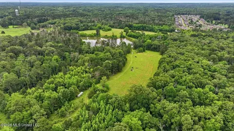Vine Drive, Brandon, MS 39047 photo 35