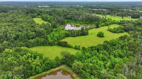 Vine Drive, Brandon, MS 39047 photo 20