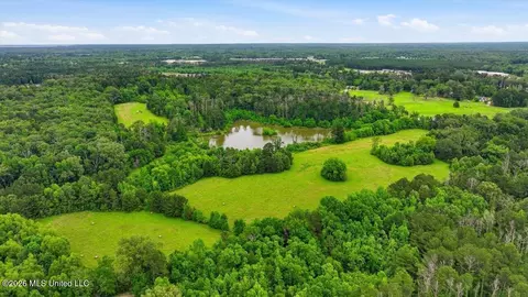 Vine Drive, Brandon, MS 39047 photo 22