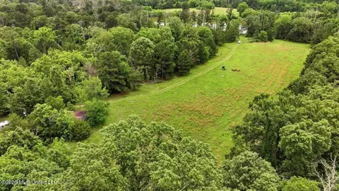Vine Drive, Brandon, MS 39047 photo 64