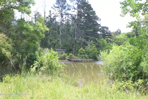 Vine Drive, Brandon, MS 39047 photo 15