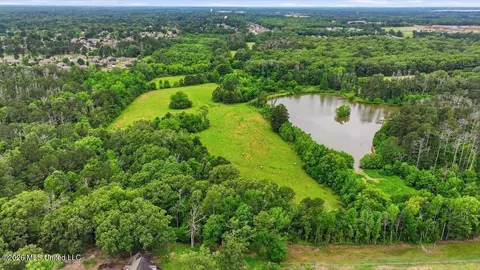 Vine Drive, Brandon, MS 39047 photo 25