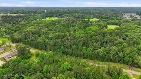 Vine Drive, Brandon, MS 39047 photo 32