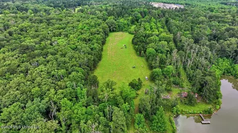 Vine Drive, Brandon, MS 39047 photo 39