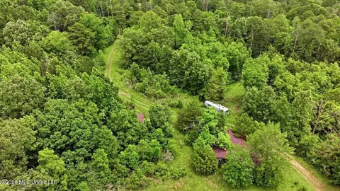 Vine Drive, Brandon, MS 39047 photo 63