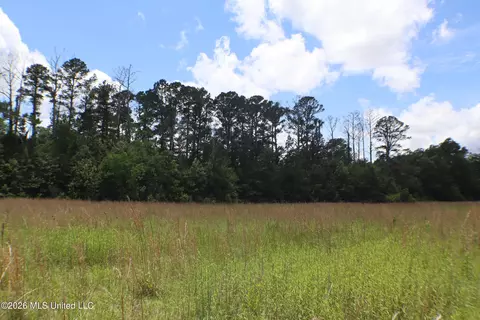 Vine Drive, Brandon, MS 39047 photo 13