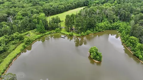 Vine Drive, Brandon, MS 39047 photo 52