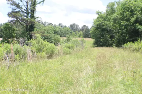 Vine Drive, Brandon, MS 39047 photo 16