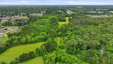 Vine Drive, Brandon, MS 39047 photo 41