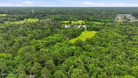 Vine Drive, Brandon, MS 39047 photo 34