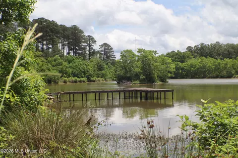 Vine Drive, Brandon, MS 39047