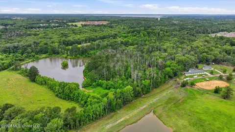 Vine Drive, Brandon, MS 39047 photo 26