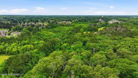 Vine Drive, Brandon, MS 39047 photo 54