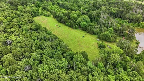 Vine Drive, Brandon, MS 39047 photo 37