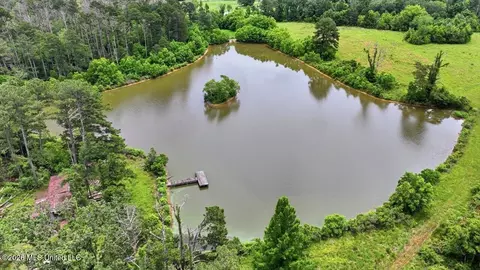 Vine Drive, Brandon, MS 39047 photo 61