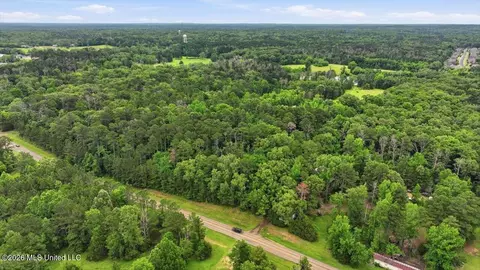 Vine Drive, Brandon, MS 39047 photo 33