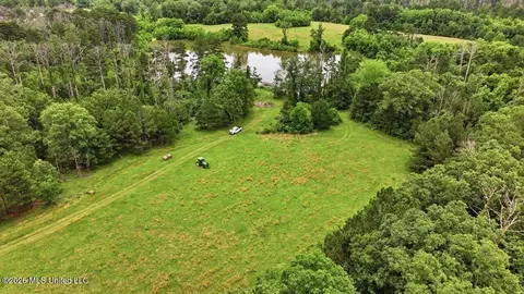 Vine Drive, Brandon, MS 39047 photo 65