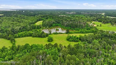 Vine Drive, Brandon, MS 39047 photo 23
