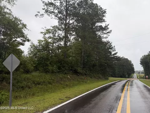 N River Road, Summit, MS 39666 photo 12