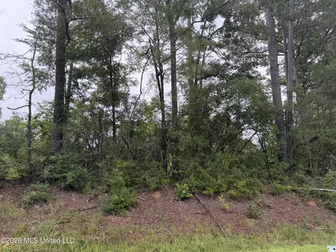 N River Road, Summit, MS 39666 photo 9