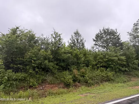 N River Road, Summit, MS 39666 photo 5