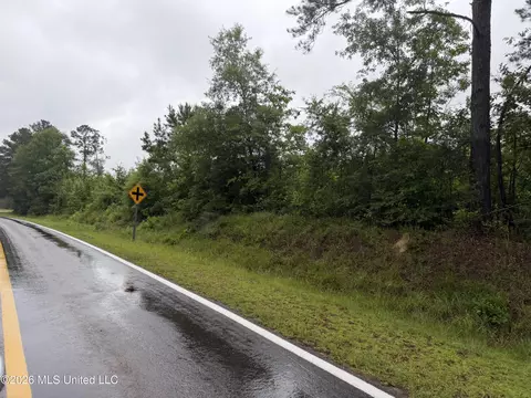 N River Road, Summit, MS 39666 photo 11