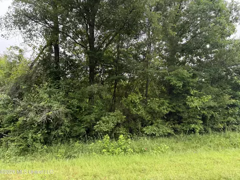 N River Road, Summit, MS 39666 photo 3