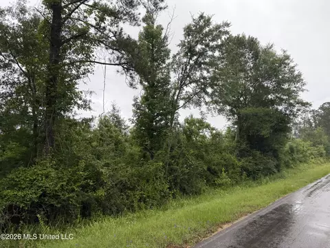 N River Road, Summit, MS 39666 photo 2
