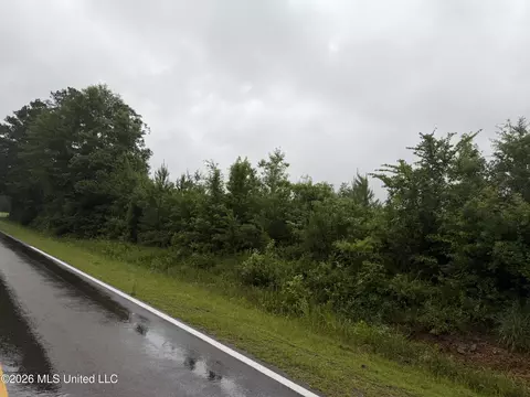 N River Road, Summit, MS 39666 photo 6