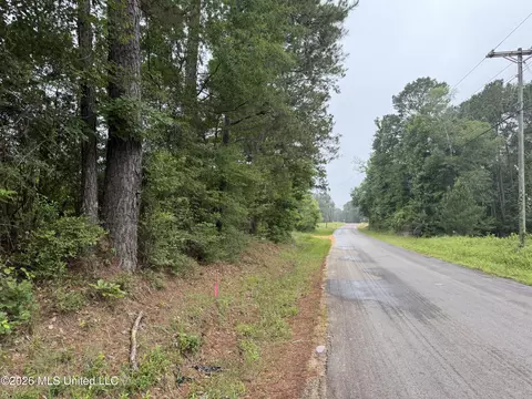 Shell Oil Road, Summit, MS 39666 photo 10