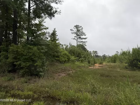 Shell Oil Road, Summit, MS 39666 photo 4