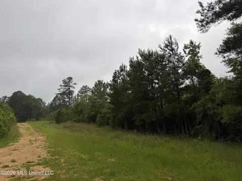 Shell Oil Road, Summit, MS 39666 photo 14