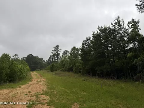 Shell Oil Road, Summit, MS 39666 photo 15