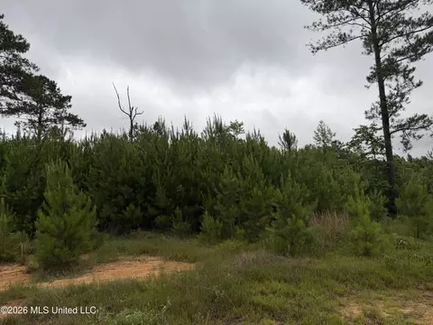 Shell Oil Road, Summit, MS 39666 photo 2