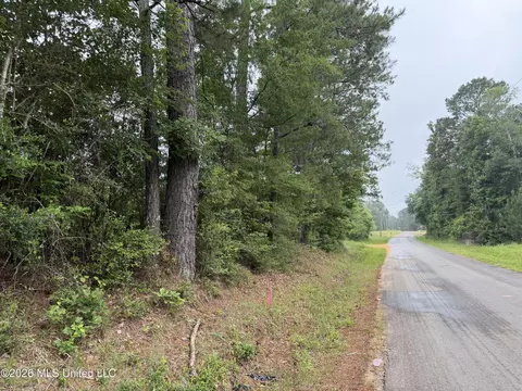 Shell Oil Road, Summit, MS 39666 photo 9
