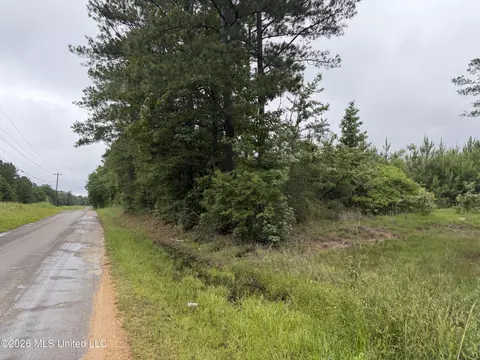 Shell Oil Road, Summit, MS 39666 photo 7