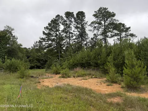 Shell Oil Road, Summit, MS 39666 photo 3