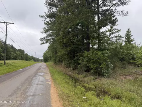 Shell Oil Road, Summit, MS 39666 photo 6