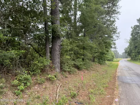 Shell Oil Road, Summit, MS 39666 photo 13