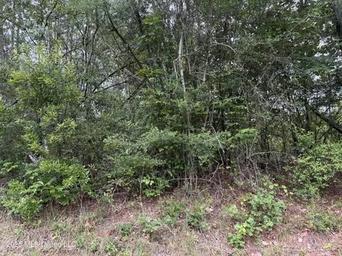 Shell Oil Road, Summit, MS 39666 photo 12