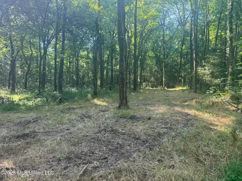 0 Dampeer Rd, Canton, MS 39046 photo 21