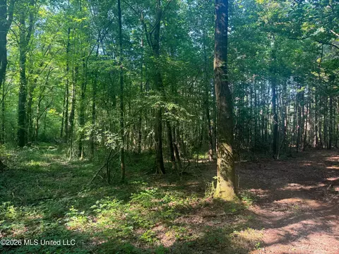 0 Dampeer Rd, Canton, MS 39046 photo 14