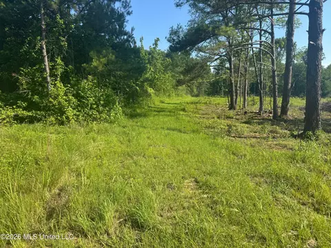 0 Dampeer Rd, Canton, MS 39046 photo 11