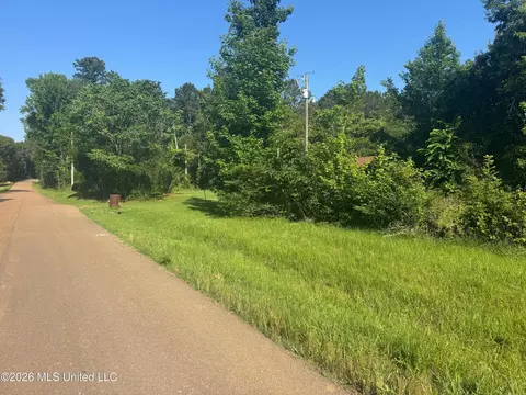 0 Dampeer Rd, Canton, MS 39046 photo 10