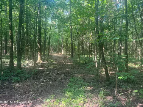 0 Dampeer Rd, Canton, MS 39046 photo 27