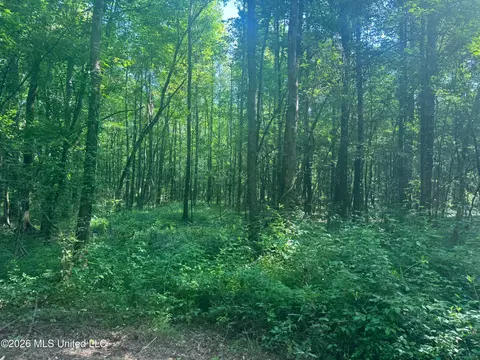 0 Dampeer Rd, Canton, MS 39046 photo 17