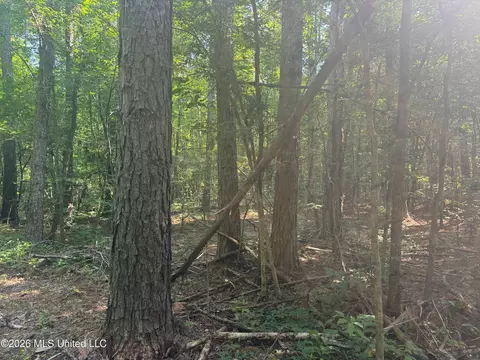 0 Dampeer Rd, Canton, MS 39046 photo 16