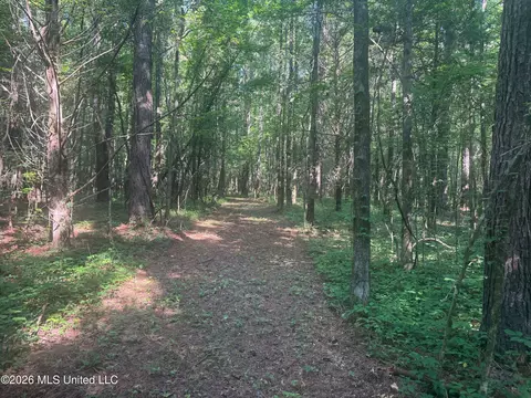 0 Dampeer Rd, Canton, MS 39046 photo 28