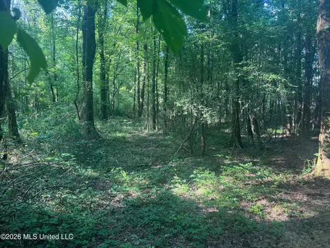 0 Dampeer Rd, Canton, MS 39046 photo 15