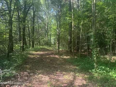 0 Dampeer Rd, Canton, MS 39046 photo 25